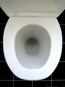 toilet