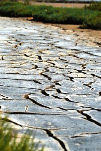 14319317-dry-river-bed-clay-with-cracks