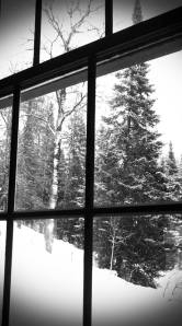 1779301_10152138179680502_1263730929_n