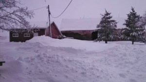 IMG_20140221_072540_221