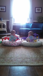 IMG_20140319_100634_527 (2)