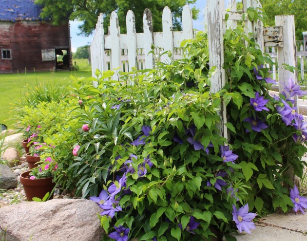 IMG_8314 (1280x1007)