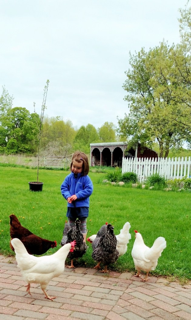 IMG_20160513_185053750 (764x1280)