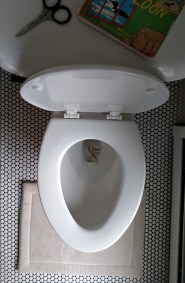 kid shenanigans self haircut