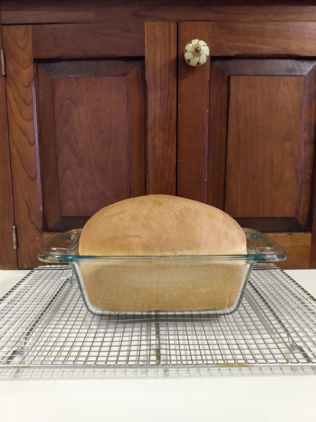 img_20200316_145836493-1